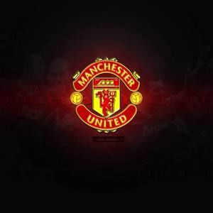 Meet your Posher, Freddy